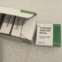 Prazykwantel 600 mg